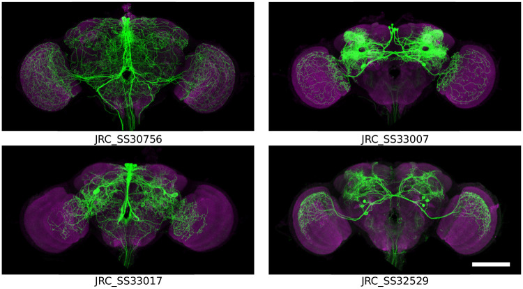 Fig 2