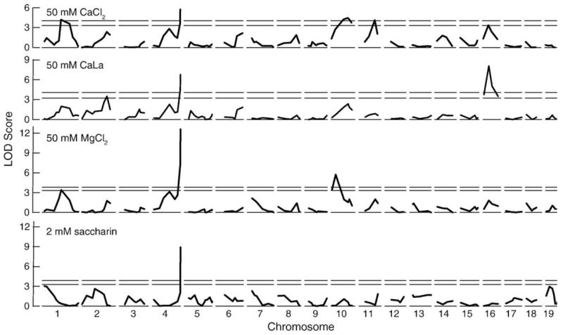 Fig. 5