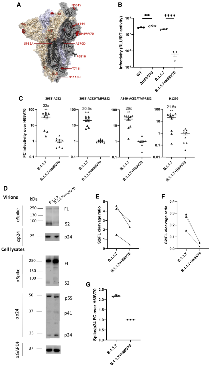 Figure 6