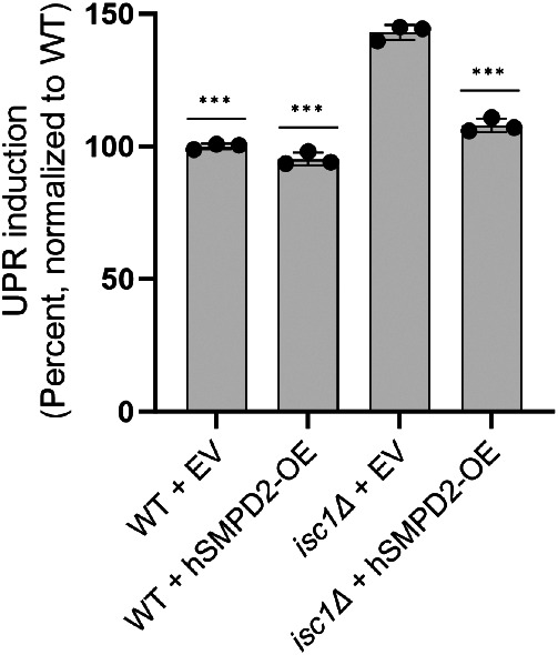 FIGURE 7: