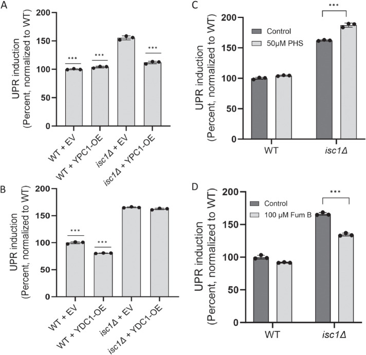 FIGURE 4: