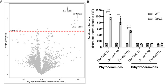 FIGURE 5: