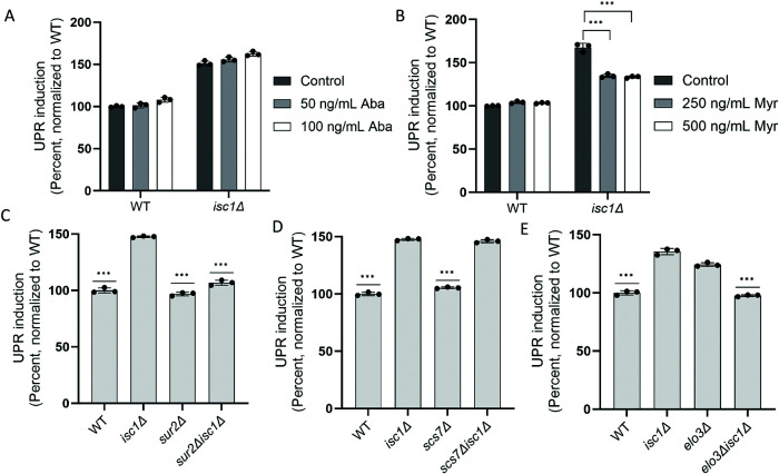 FIGURE 3: