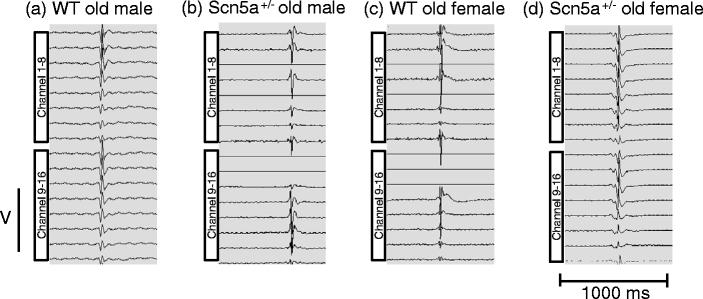 Fig. 2