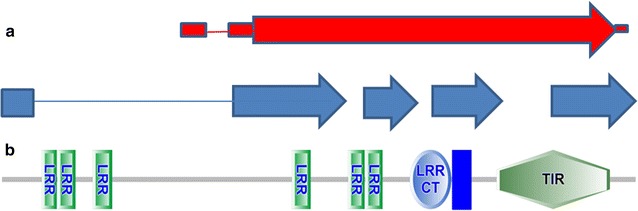 Fig. 3