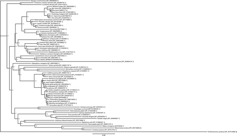 Fig. 2