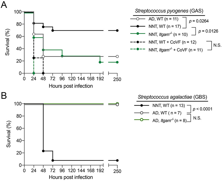 Figure 6: