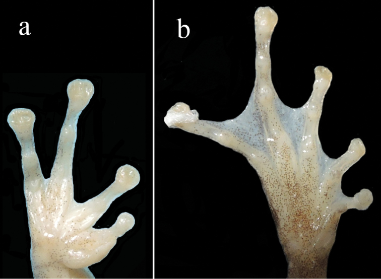 Figure 5.