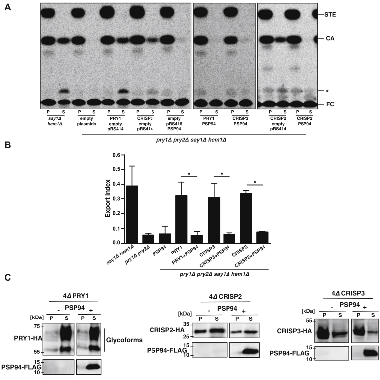 Figure 1