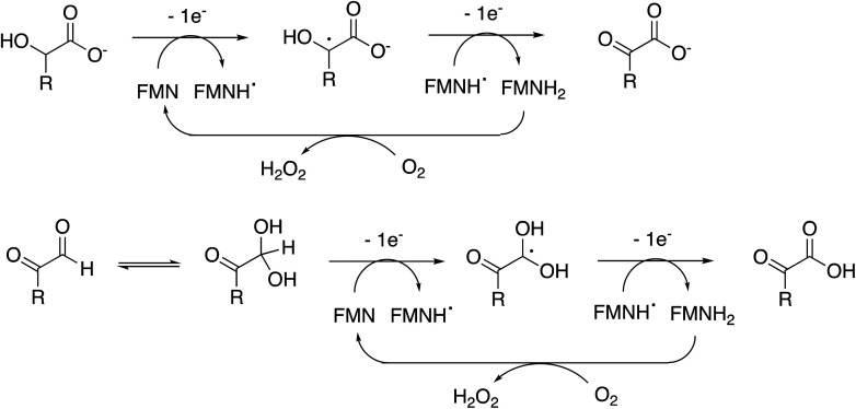 Fig. 9