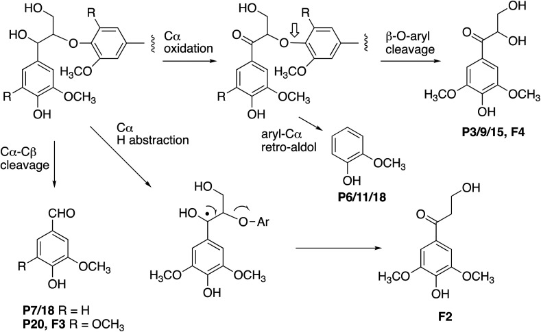 Fig. 10