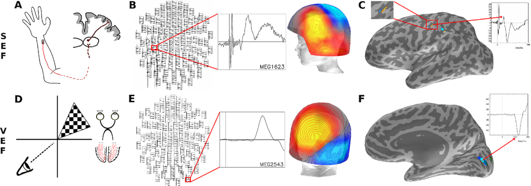 Figure 1: