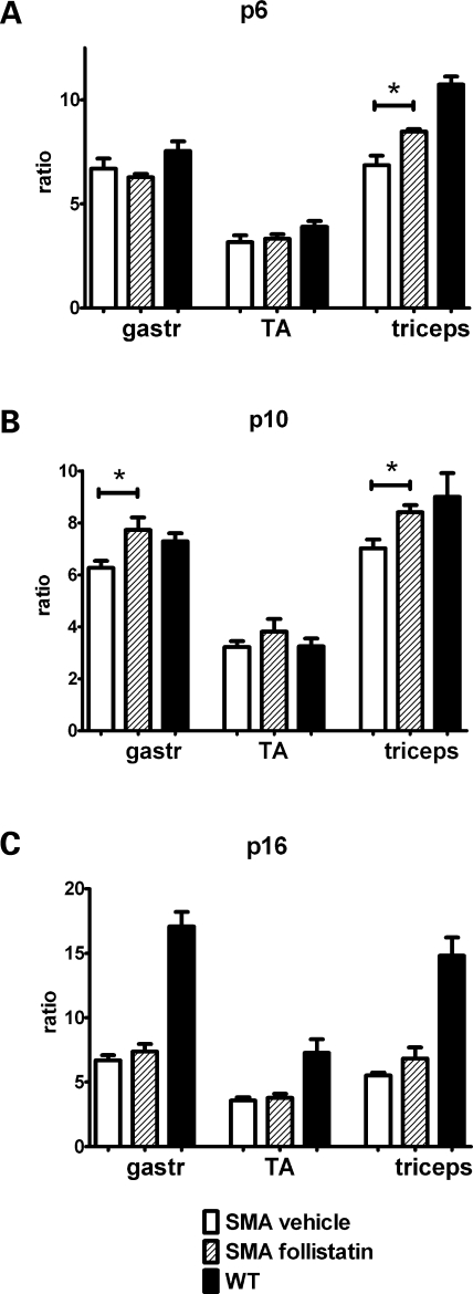 Figure 1.