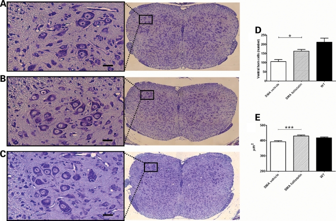 Figure 5.