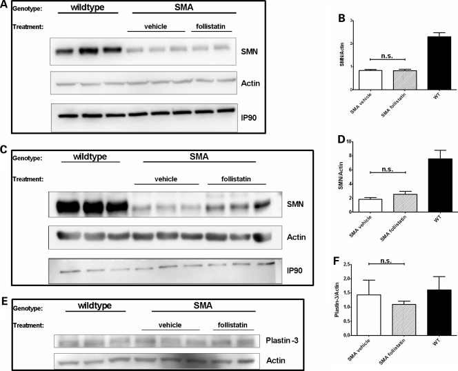 Figure 4.