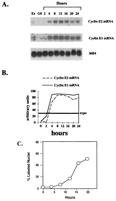 FIG. 5