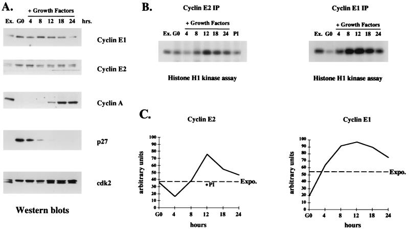 FIG. 6