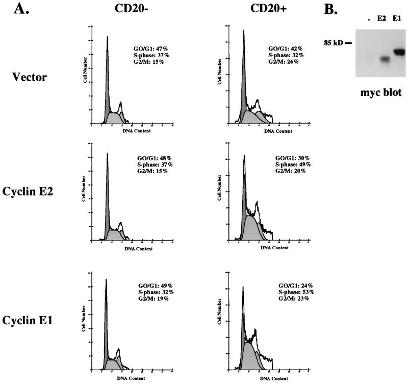 FIG. 7