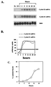 FIG. 5
