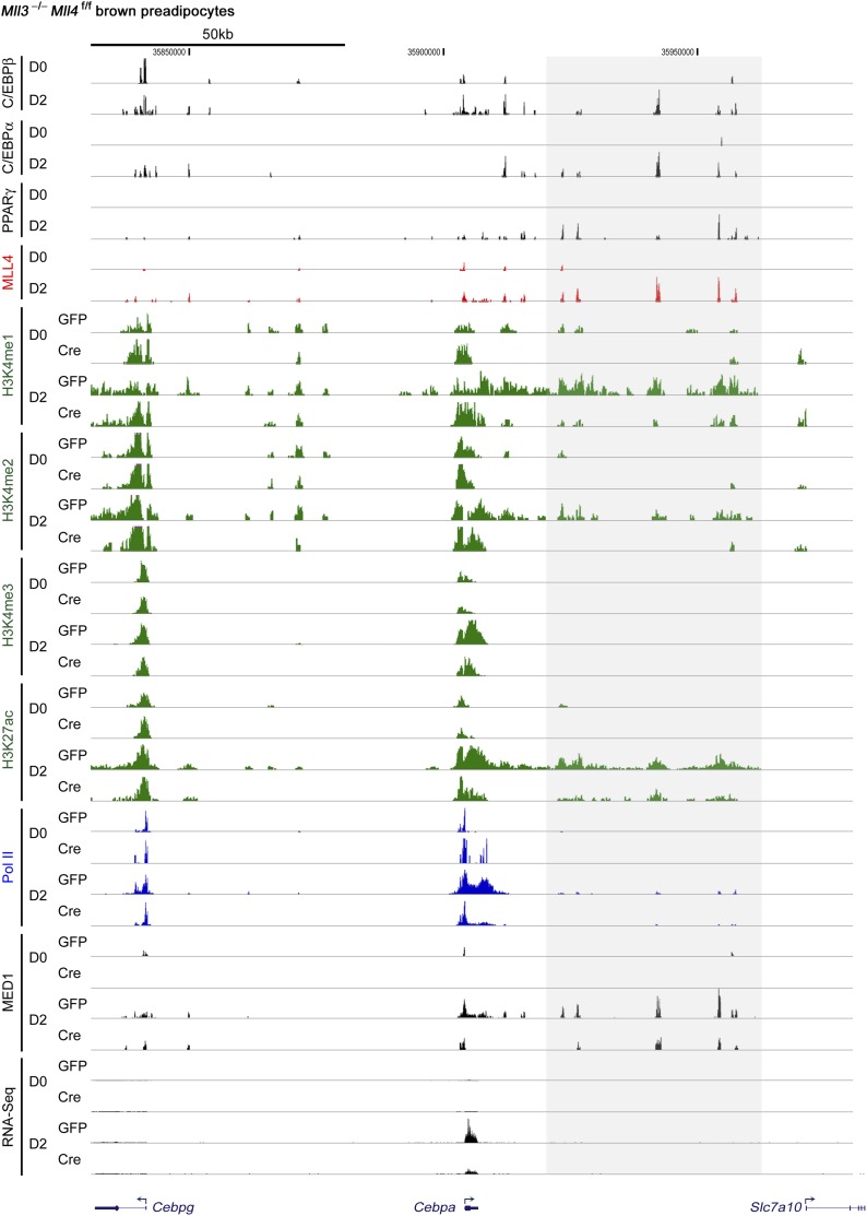 Figure 4—figure supplement 2.