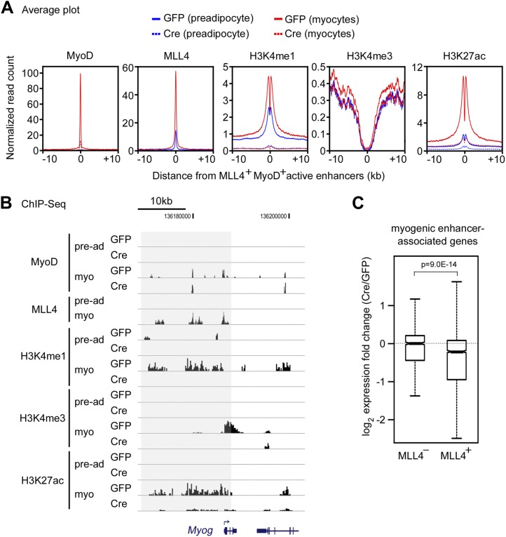 Figure 7—figure supplement 2.