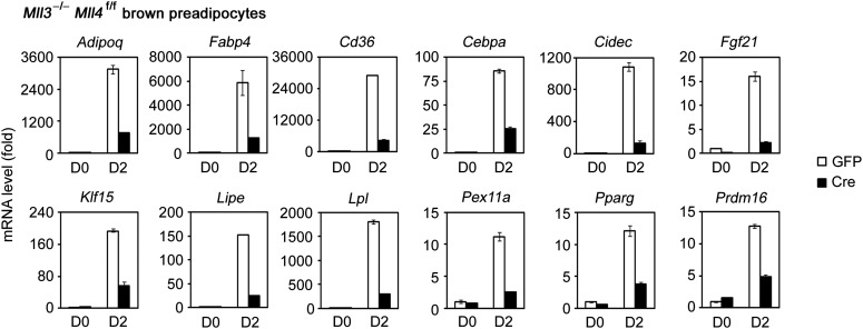 Figure 2—figure supplement 2.