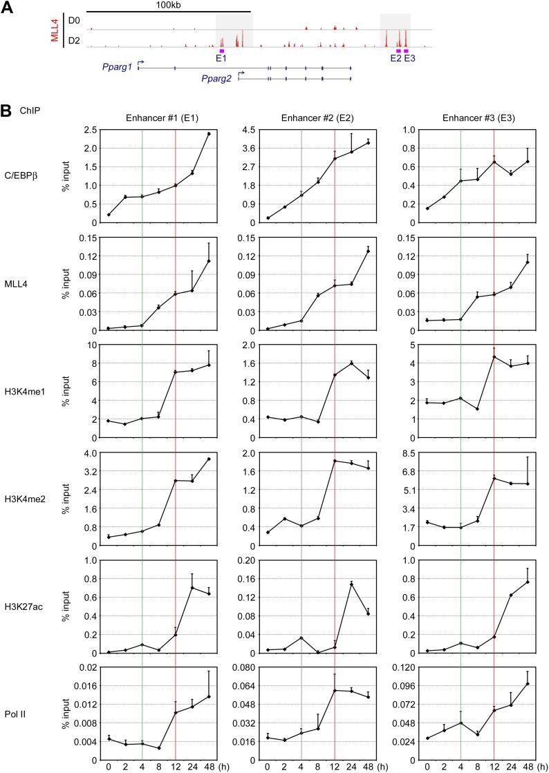 Figure 8—figure supplement 1.