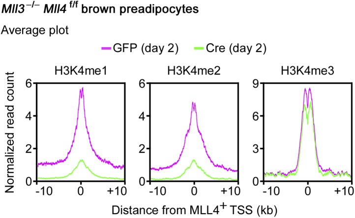 Figure 7—figure supplement 1.