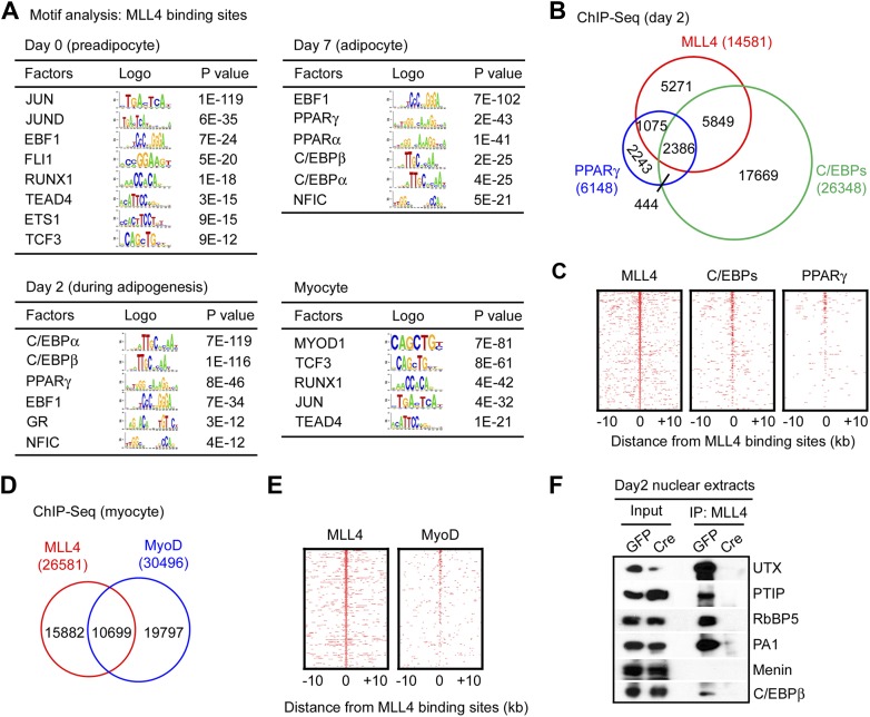 Figure 4.