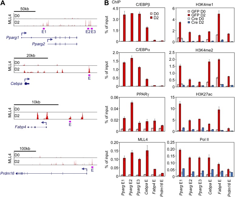 Figure 3—figure supplement 2.