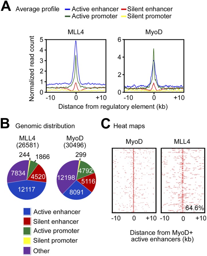 Figure 5—figure supplement 1.