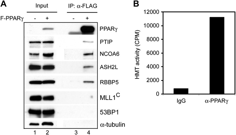 Figure 4—figure supplement 3.