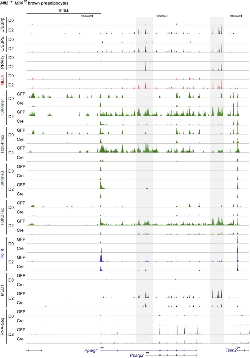 Figure 4—figure supplement 1.