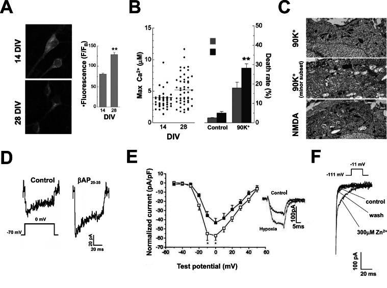 Fig. (1)