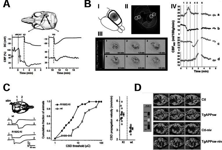 Fig. (4)