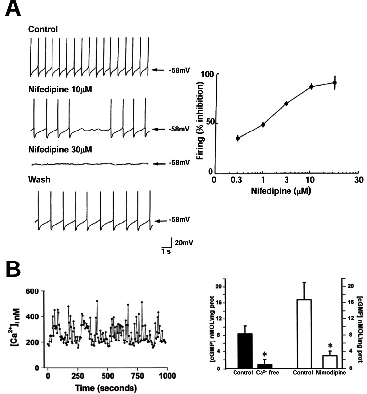 Fig. (2)