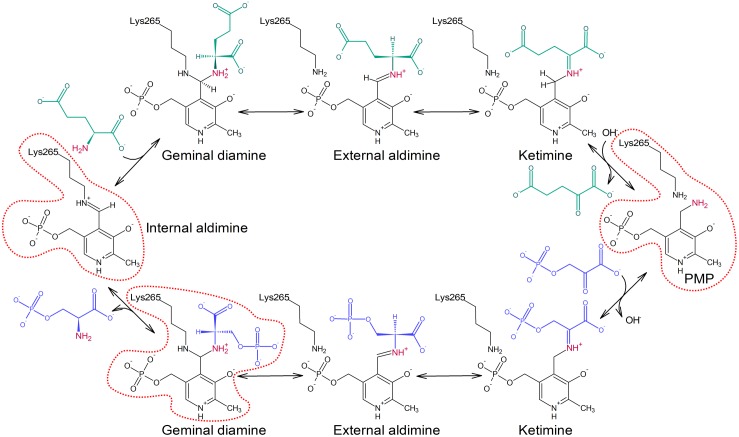 FIGURE 1