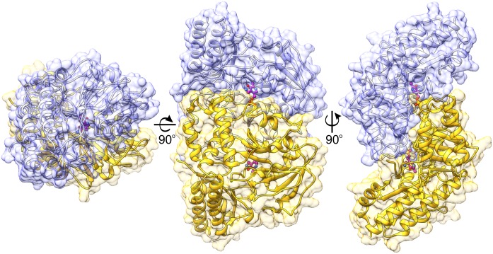 FIGURE 2