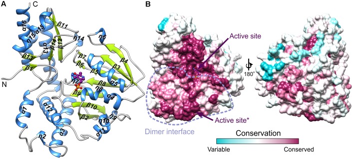 FIGURE 3