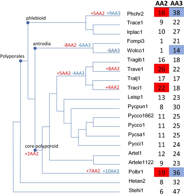 Fig. 1