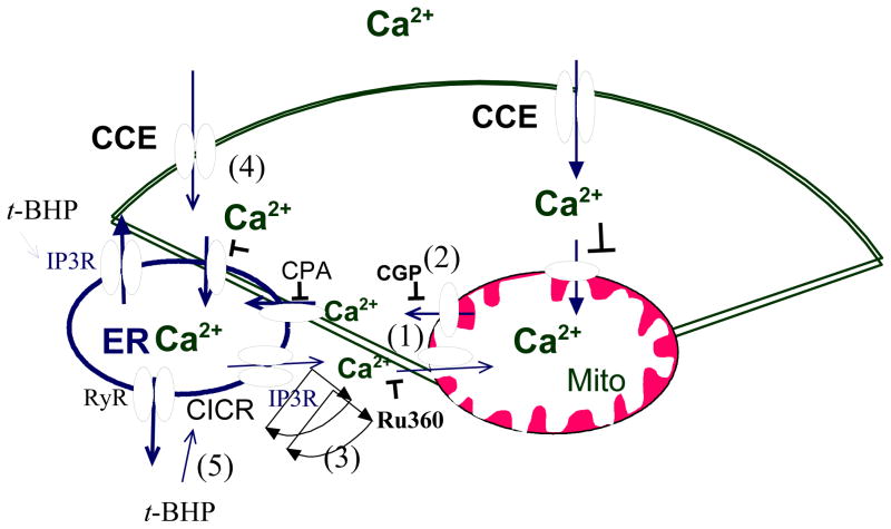 Fig 12