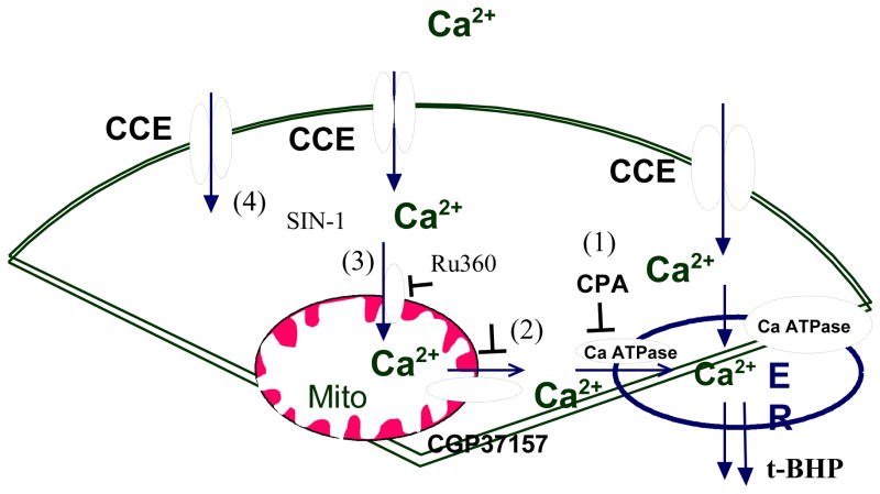 Fig 11