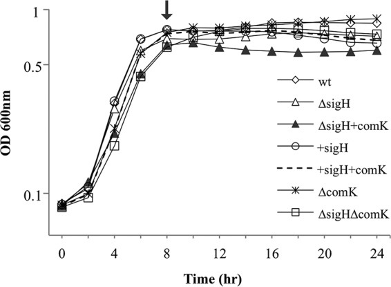 FIG 2