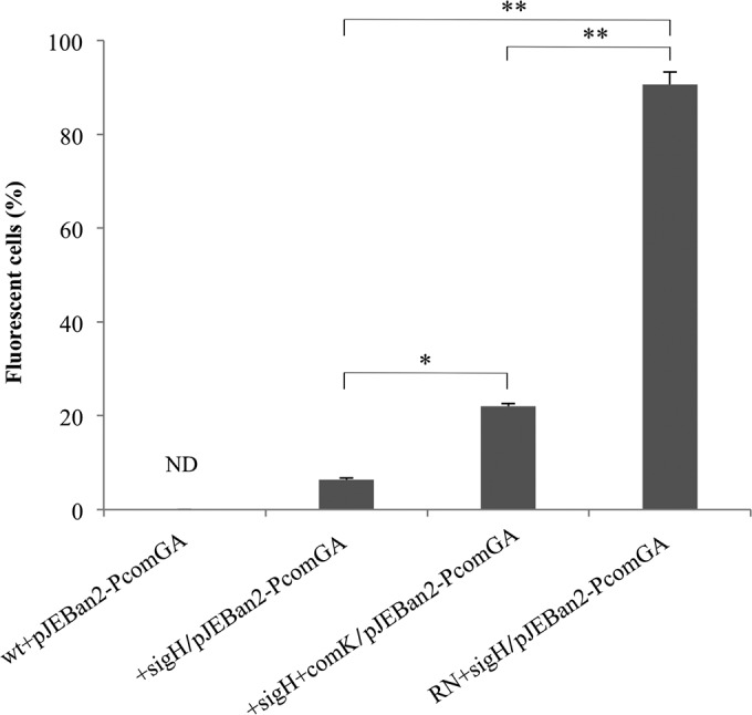 FIG 4