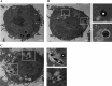 FIG 9