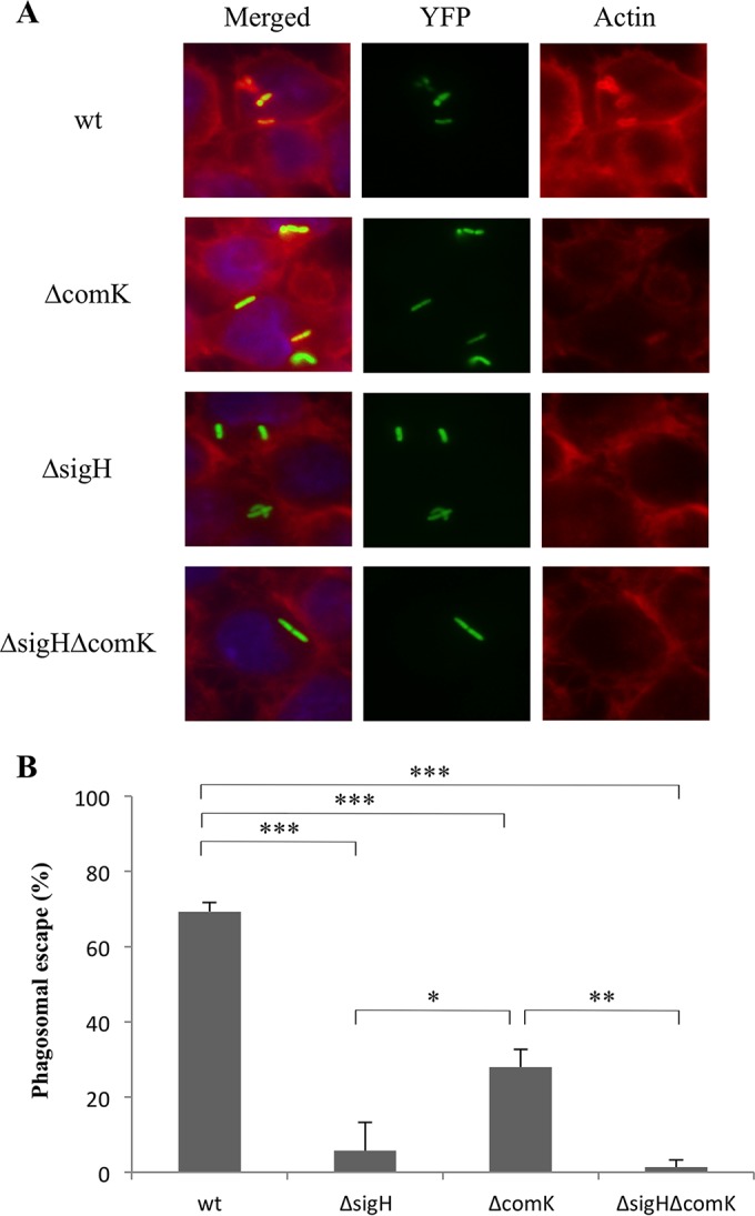 FIG 8