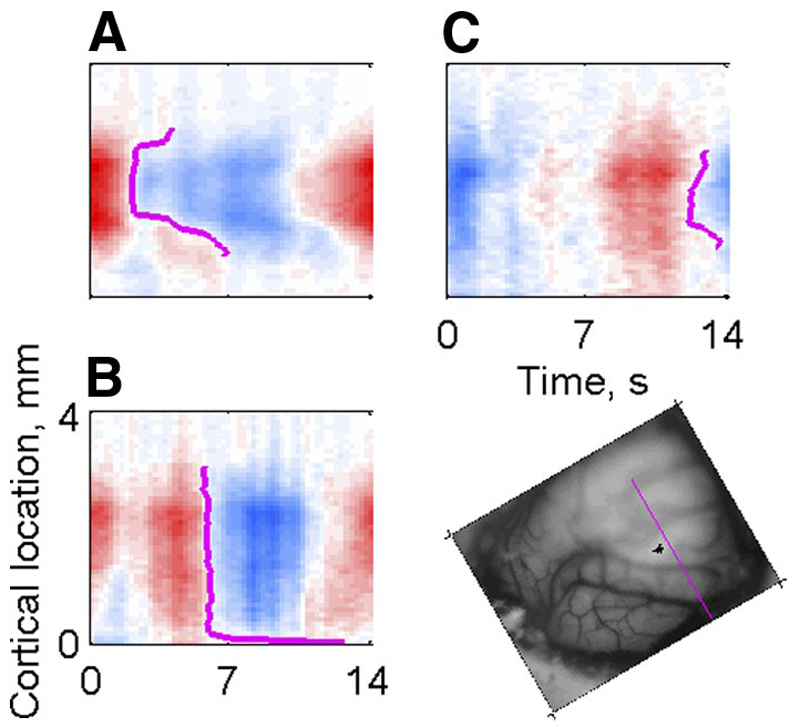 Fig. 3