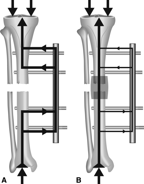 Fig. 2A–B