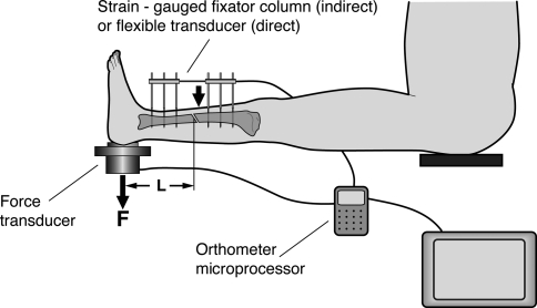 Fig. 1