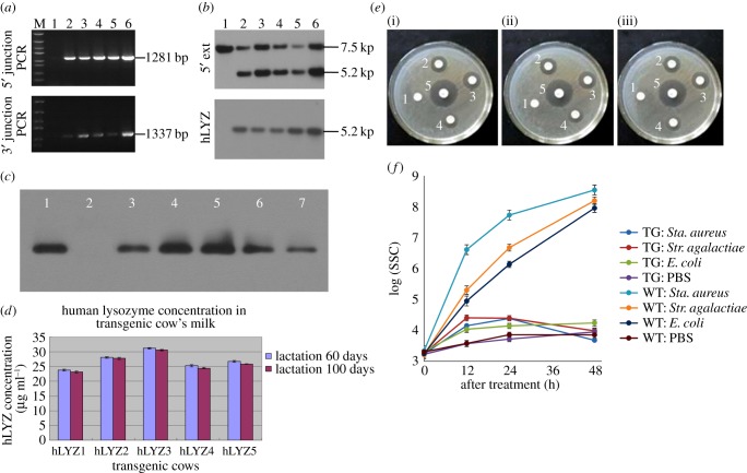 Figure 4.